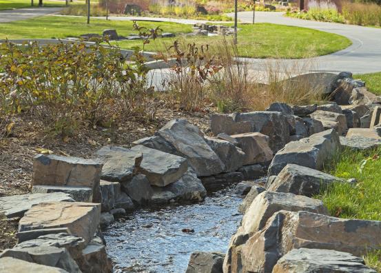 Landscaping